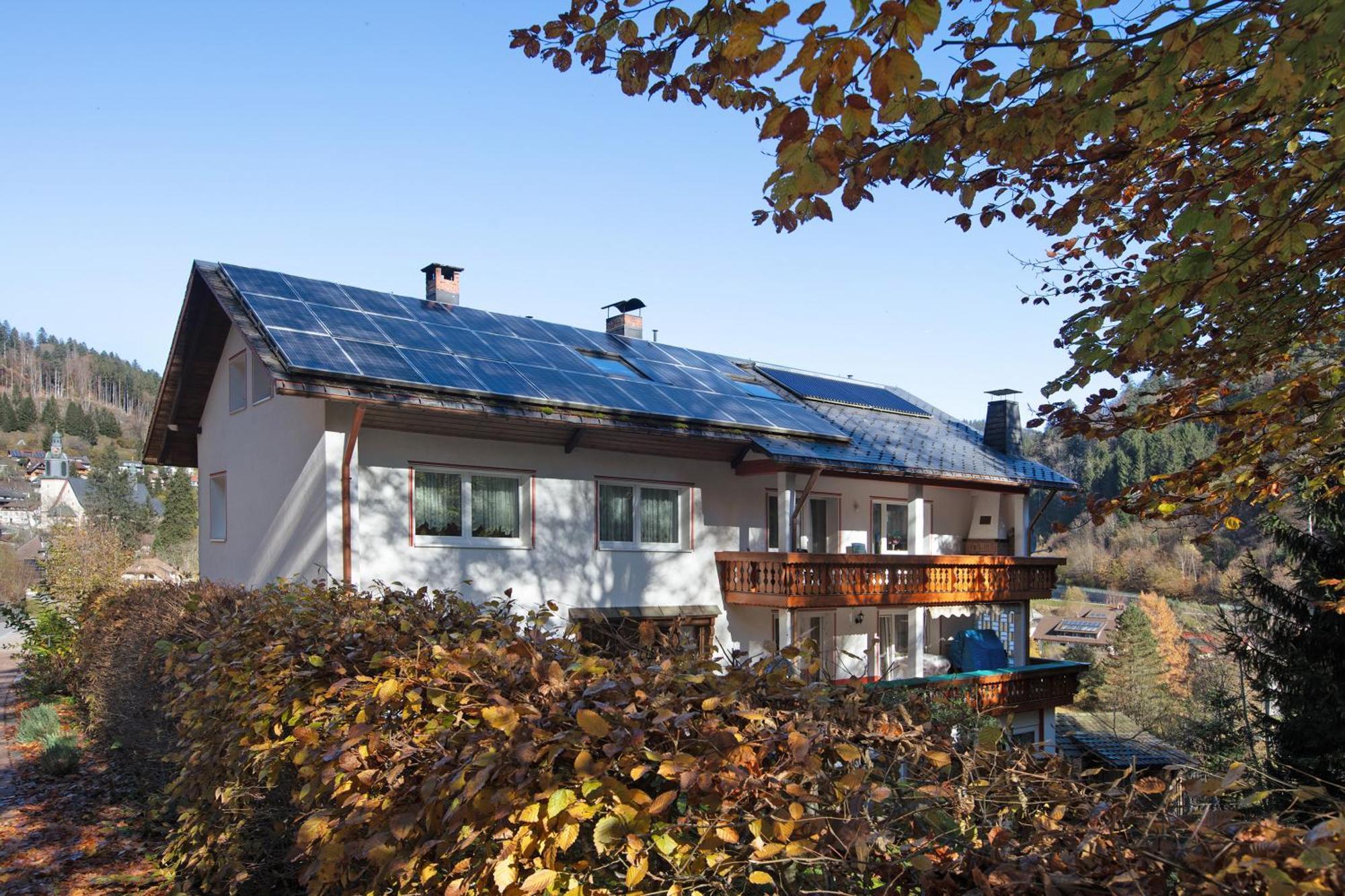 Haus Monika Hotel Todtmoos Buitenkant foto