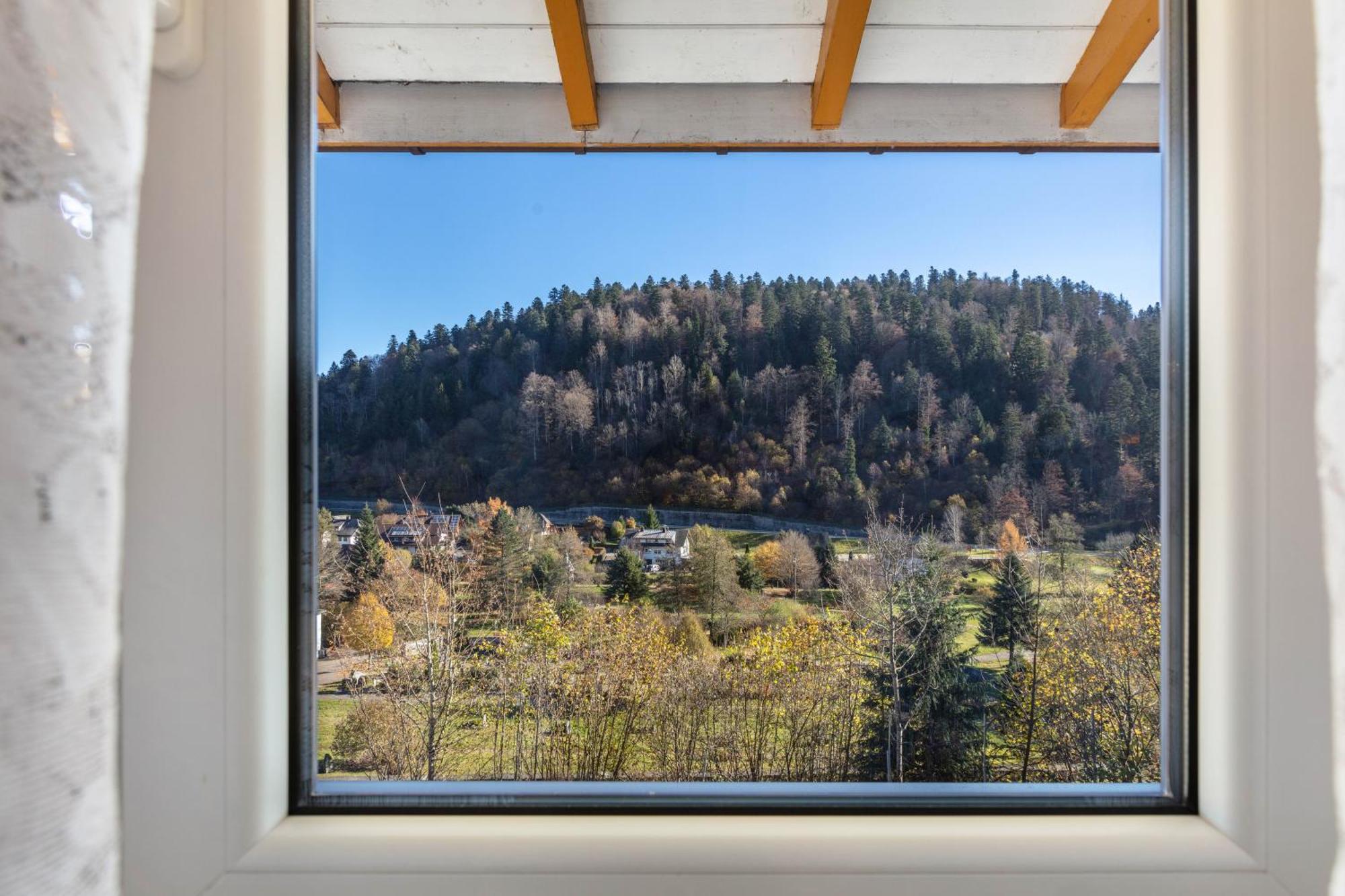 Haus Monika Hotel Todtmoos Buitenkant foto